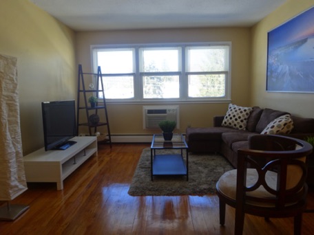 The Living Room in our 2 Bedroom Apartment
